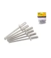 Nit zrywalny aluminiowy MASTERTOOL 3, 2*10, 00 mm, 50 szt. 20-0450