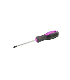 Wkrętak magnetyczny MASTERTOOL Pozidriv PZ2*100 mm 48-5910
