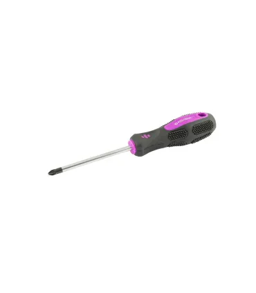 Wkrętak magnetyczny MASTERTOOL Pozidriv PZ2*100 mm 48-5910