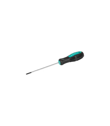 Wkrętak magnetyczny MASTERTOOL TORX TT 10*100 mm 49-0101