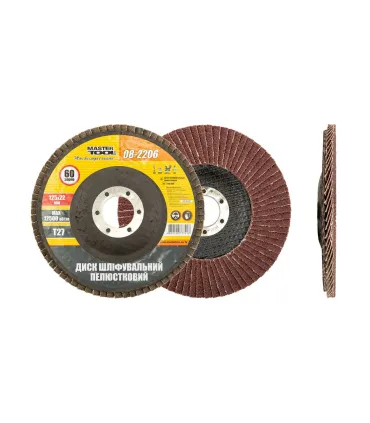 Tarcza ścierna listkowa MASTERTOOL T27 P60 125*22 mm 08-2206