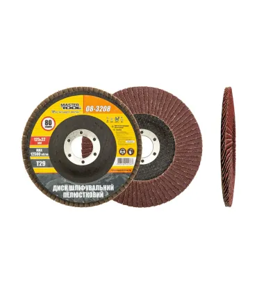 Tarcza ścierna listkowa MASTERTOOL T29 P80 125*22 mm 08-3208